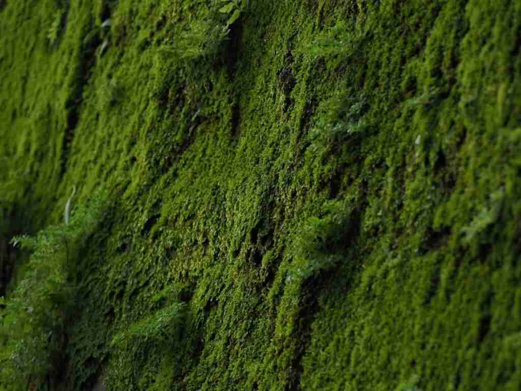 Jak wybór fototapet do sypialni?