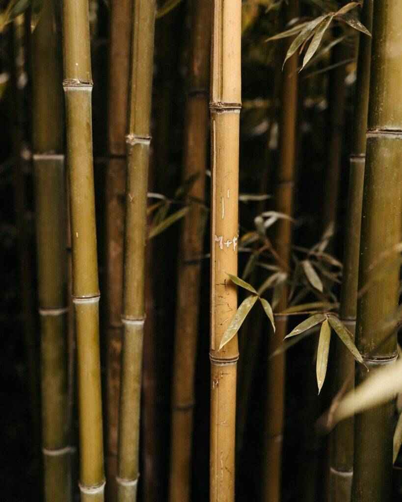 Jak wybór pościeli dla alergika?